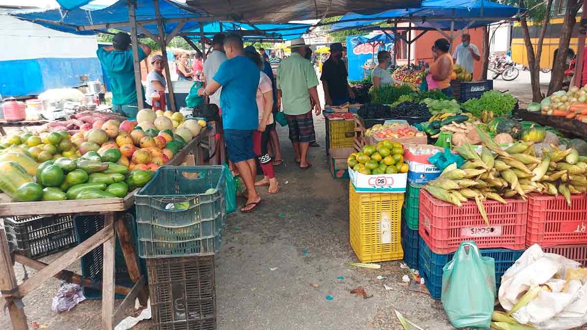 secretaria de desenvolvimento rural de itapiuna abri inscricoes para novos feirantes