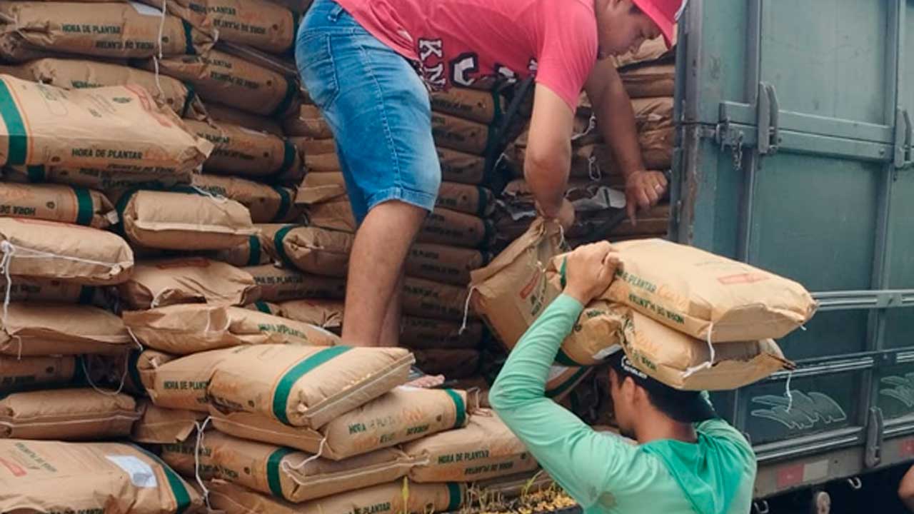 cerca de 800 agricultores de itapiúna serão beneficiados com a distribuição de sementes do projeto hora de plantar