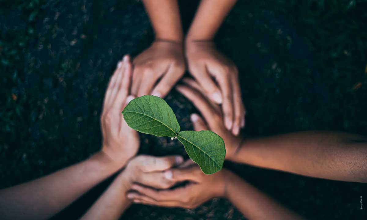 celebre a natureza e aprenda sobre conservação na festa anual das Árvores 2023 em itapiúna