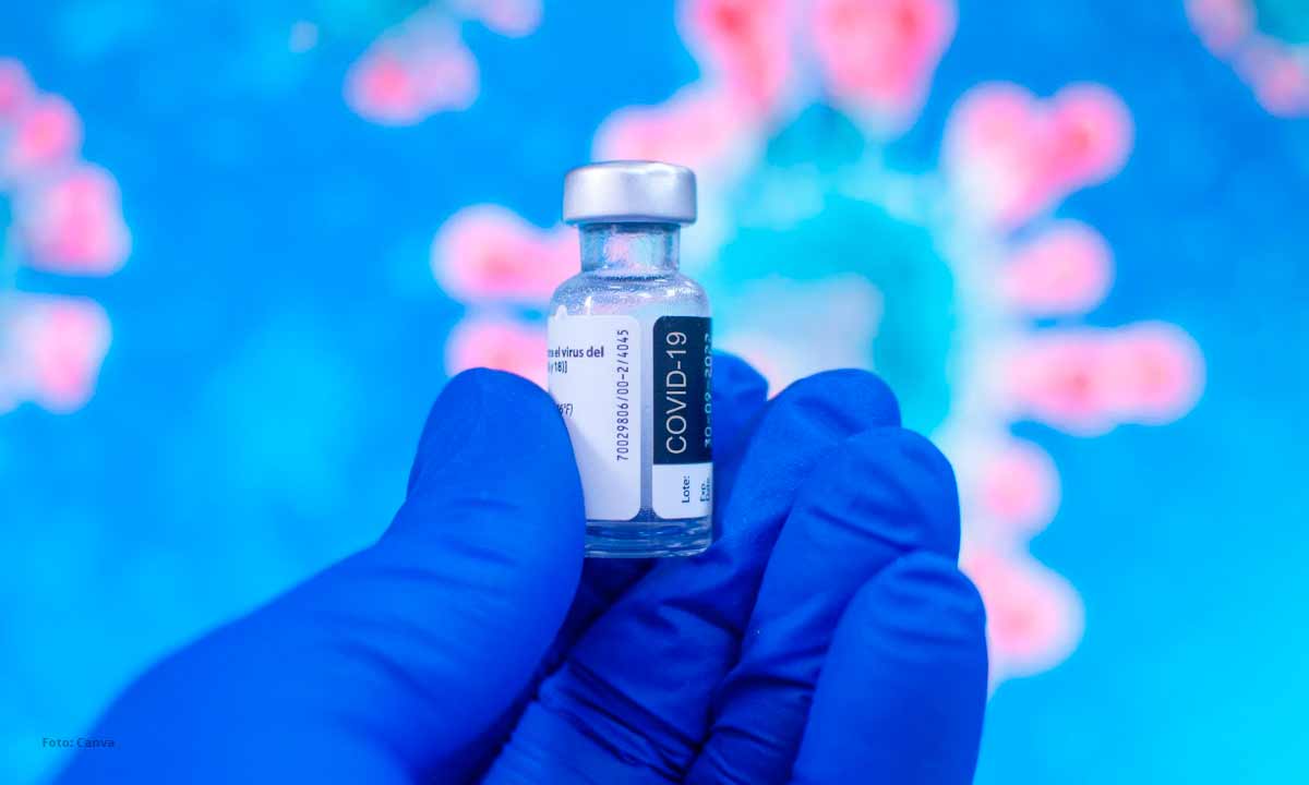 itapiúna realizará vacinação contra a gripe e bivalente contra a covid 19 em palmatória