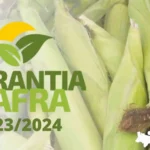 Tem início inscrições para o Garantia Safra 2023/2024, em caso de perda de safra o valor do benefício é de R$ 1.200