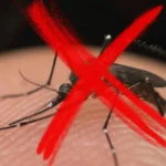 Domingo (19) é o Dia Nacional de Combate ao Aedes Aegypti
