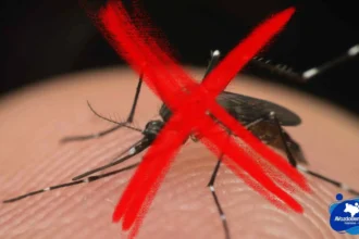 Domingo (19) é o Dia Nacional de Combate ao Aedes Aegypti