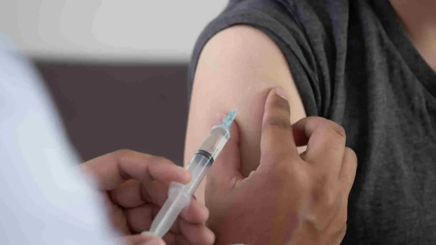 Butantan pretende registrar nova vacina contra a dengue