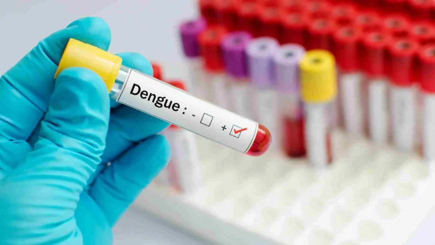 Saiba a diferença dos sintomas de dengue e de covid-19