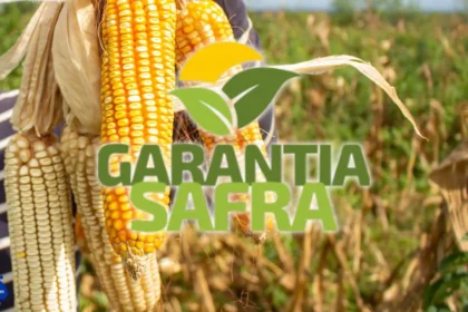 Garantia-Safra 2023/2024 será liberado para agricultores a partir de março