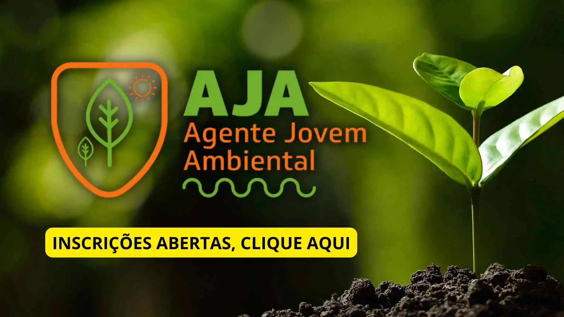 Programa Agente Jovem Ambiental abre inscrições com auxílio de R$200 em todos os municípios do Ceará