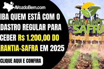 Saiba quem está com o cadastro regular para receber R$ 1.200,00 do Garantia-Safra em 2025