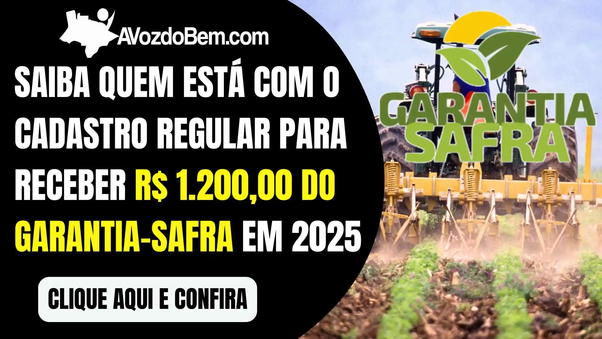 Saiba quem está com o cadastro regular para receber R$ 1.200,00 do Garantia-Safra em 2025