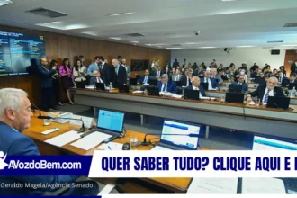 Comissão do Senado aprova fim da reeleição para cargos do Executivo