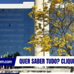 INSS retoma liberação de crédito com identificação biométrica