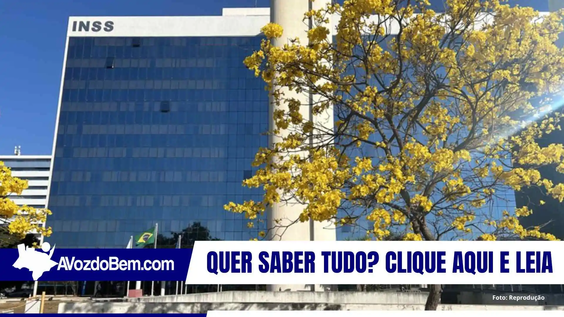 INSS retoma liberação de crédito com identificação biométrica