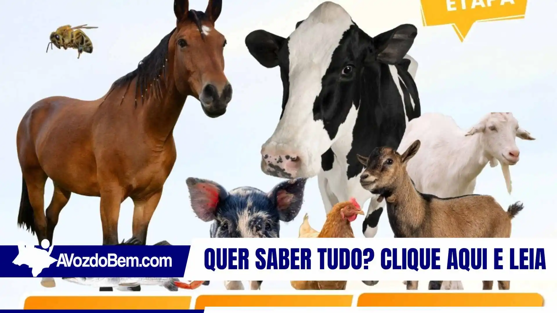 Produtores rurais, atenção: atualização cadastral é obrigatória para propriedades e rebanhos