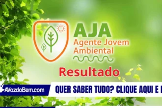 Confira o resultado da análise documental do Edital nº 02/2025 do Programa AJA