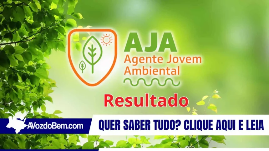 Confira o resultado da análise documental do Edital nº 02/2025 do Programa AJA