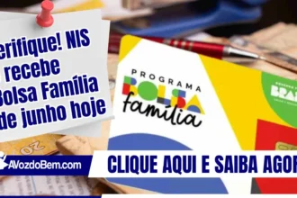 Verifique! NIS 6 recebe Bolsa Família de junho hoje