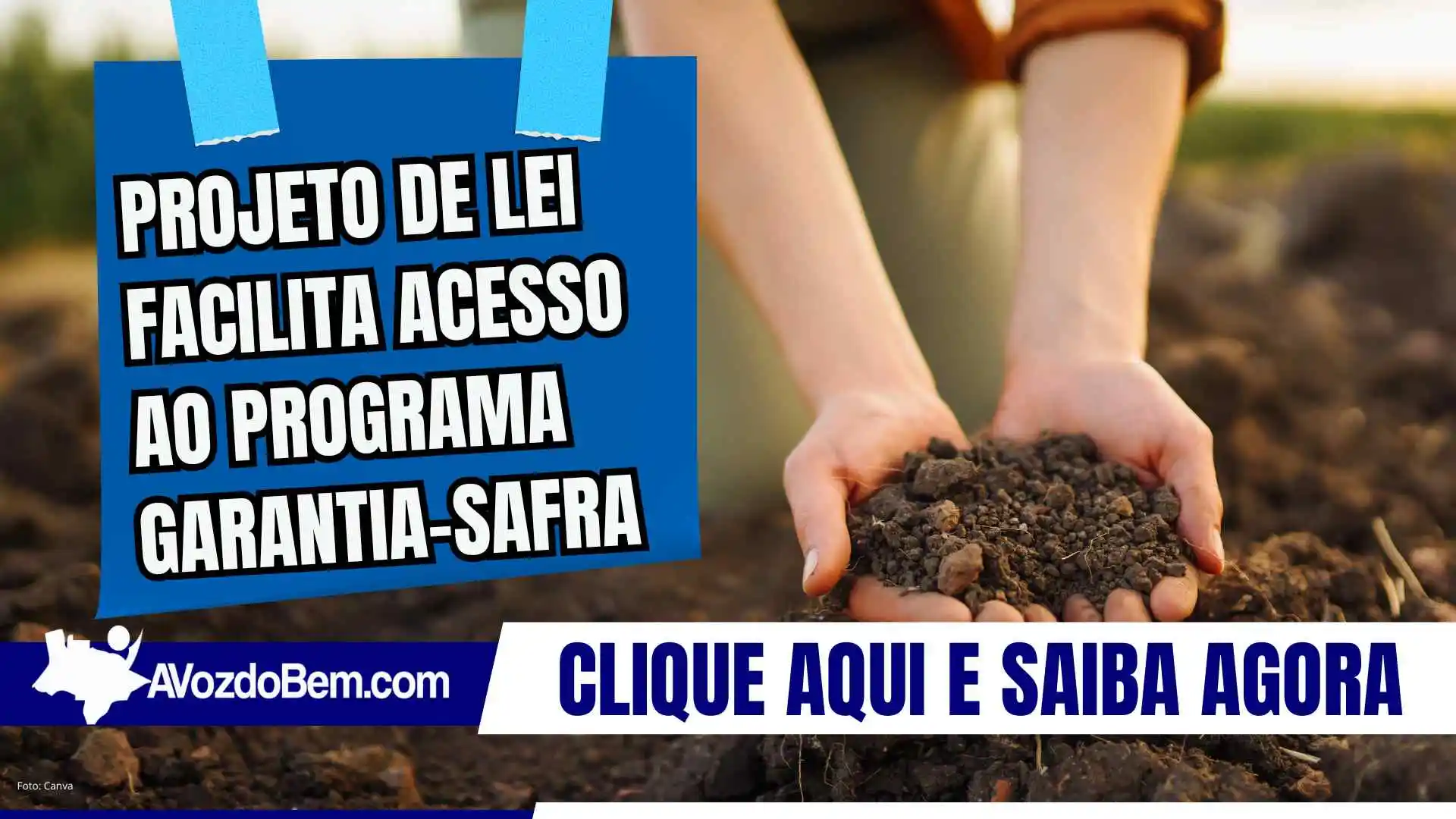 Projeto de lei facilita acesso ao Programa Garantia-Safra