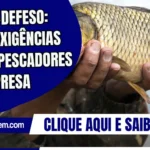 Seguro‑defeso: novas exigências pegam pescadores de surpresa