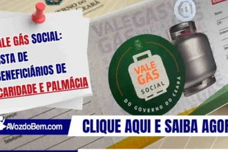Vale Gás Social: lista de beneficiários de Caridade e Palmácia
