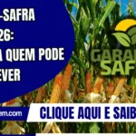 Garantia-Safra 2025/2026: descubra quem pode se inscrever
