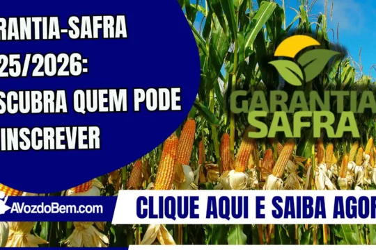 Garantia-Safra 2025/2026: descubra quem pode se inscrever