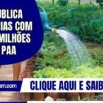 MDS publica portarias com R$152 milhões para o PAA
