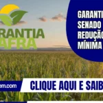 Garantia-Safra: Senado aprova redução da perda mínima