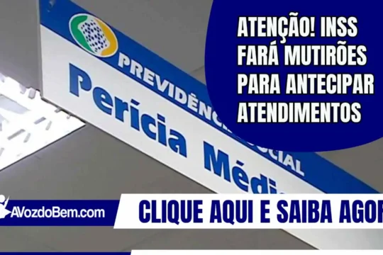 Atenção! INSS fará mutirões para antecipar atendimentos