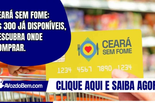 Ceará Sem Fome: R$ 300 disponíveis, confira onde comprar já