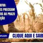 Garantia-Safra: Agricultores precisam ficar atentos ao prazo para inscrição