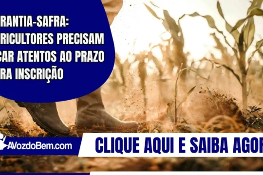 Garantia-Safra: Agricultores precisam ficar atentos ao prazo para inscrição