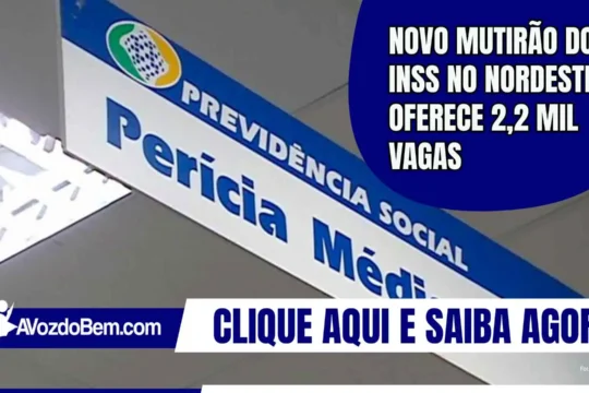 Novo mutirão do INSS no Nordeste oferece 2,2 mil vagas
