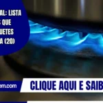 Vale Gás Social: Lista de Municípios que entregam tíquetes nesta segunda (20)