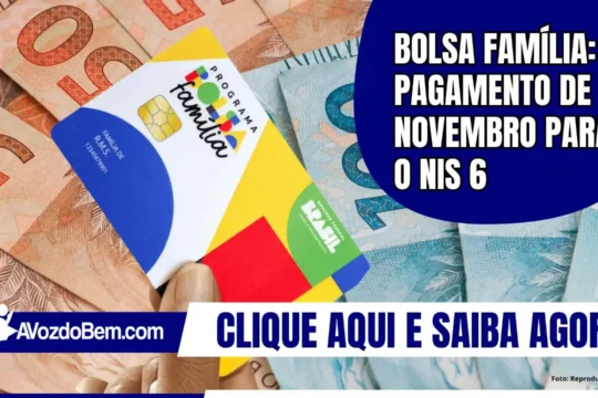 Bolsa Família: pagamento de novembro ao NIS 6