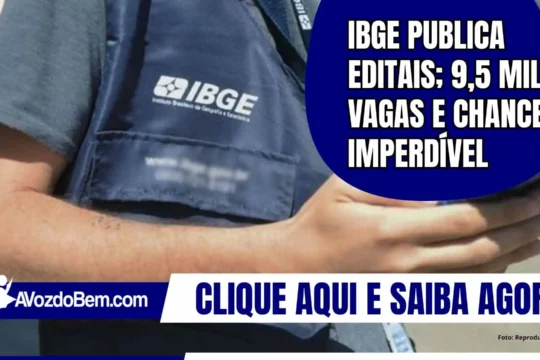 IBGE publica editais; 9,5 mil vagas e chance imperdível