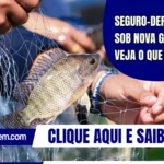 Seguro-defeso agora sob nova gestão: veja o que muda