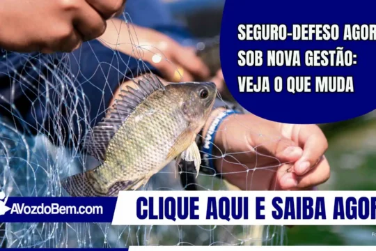 Seguro-defeso agora sob nova gestão: veja o que muda
