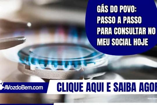 Gás do Povo: passo a passo para consultar no Meu Social hoje