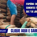 Itapiúna: Entrega de sementes terá início dia 7 de janeiro