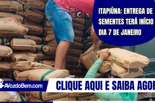 Itapiúna: Entrega de sementes terá início dia 7 de janeiro