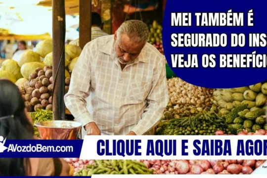 MEI também é segurado do INSS; veja os benefícios