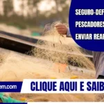 Seguro-defeso: pescadores devem enviar REAP até o dia 31