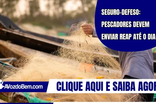 Seguro-defeso: pescadores devem enviar REAP até o dia 31