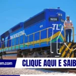 Ferrovia Transnordestina: transporta sorgo em novo teste operacional