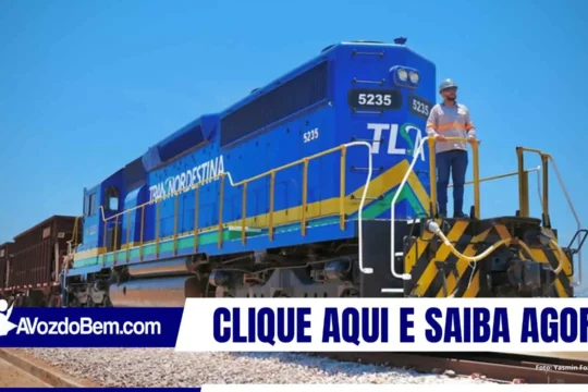 Ferrovia Transnordestina: transporta sorgo em novo teste operacional