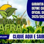 Garantia-Safra define calendário oficial da safra 2025/2026
