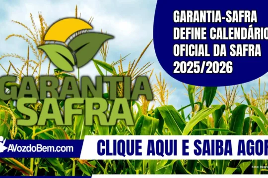 Garantia-Safra define calendário oficial da safra 2025/2026
