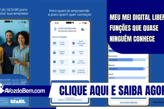 Meu MEI Digital libera funções que quase ninguém conhece
