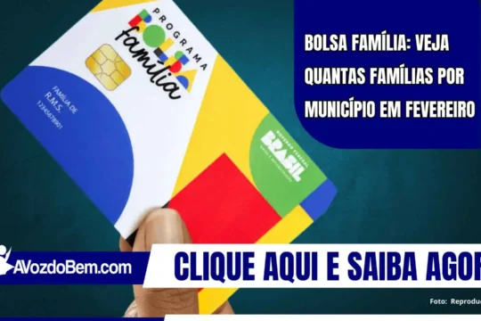 Bolsa Família: veja quantas famílias por município em fevereiro