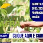 Garantia Safra 2025/2026: adesão prorrogada na Região I